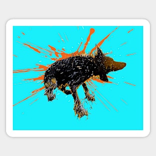 Shake It - Wet Border Collie Dog Art Sticker